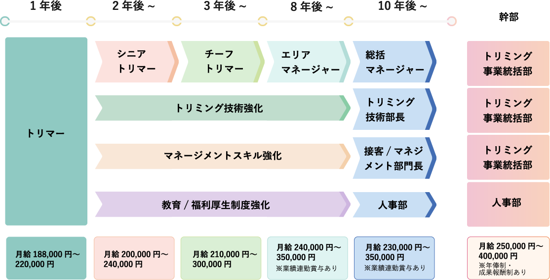 トリマーキャリアアップ制度
